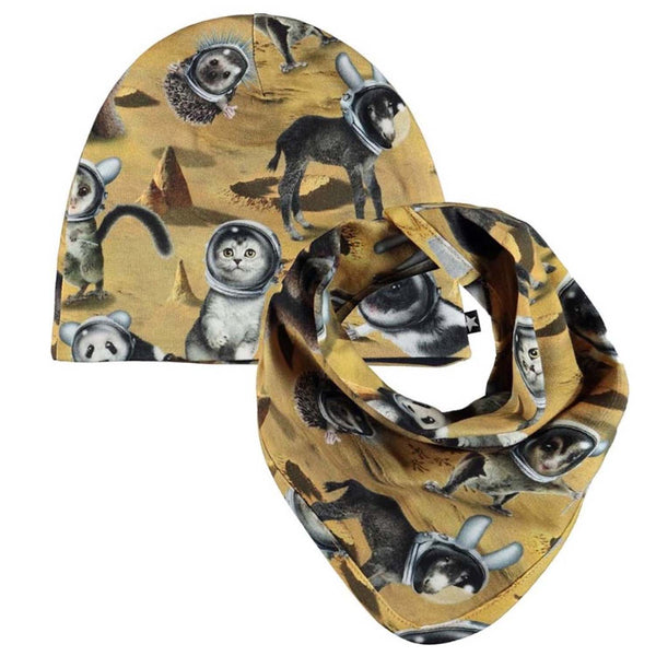 Brown Cotton Cap And Bib Set