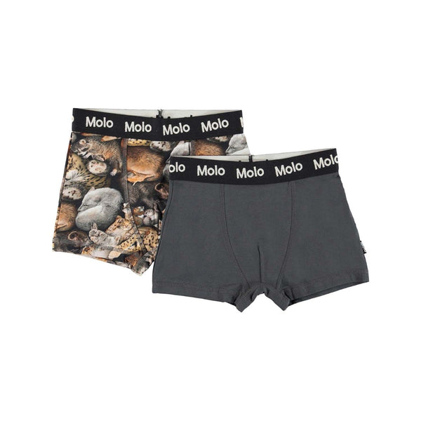 Boys Cotton Boxers (2 Pack)
