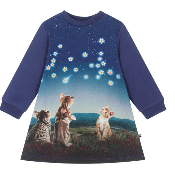 Baby Girls Blue Kitten Organic Cotton Dress