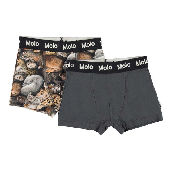 Boys Cotton Boxers (2 Pack)