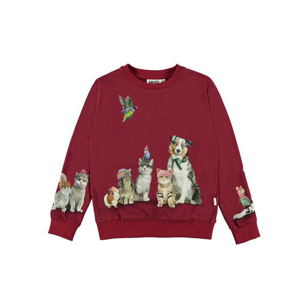 Dard Red Cotton Sweatshirt For Girls