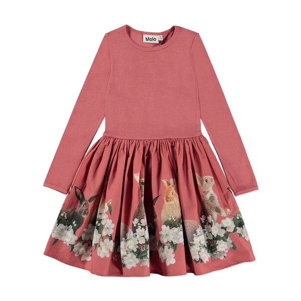 Casie Family Photo Dress