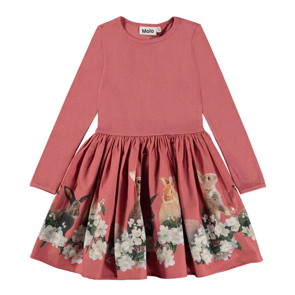 Casie Family Photo Dress