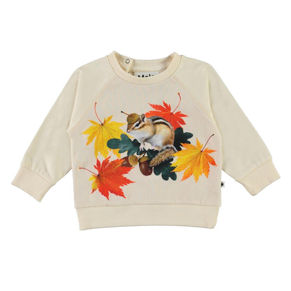 Tiny Chipmunks Elsa Sweatshirt