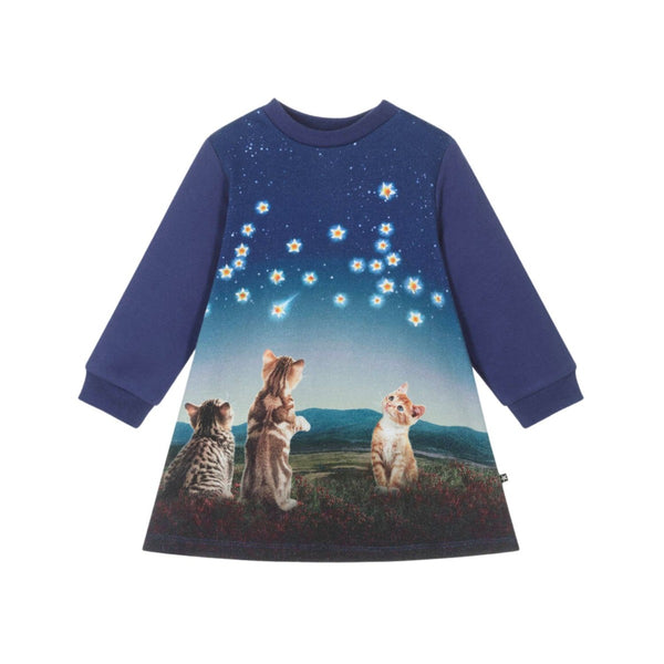 Baby Girls Blue Kitten Organic Cotton Dress