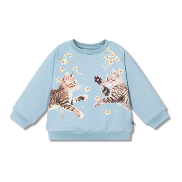 Baby Girls Blue Kitten Cotton Sweatshirt