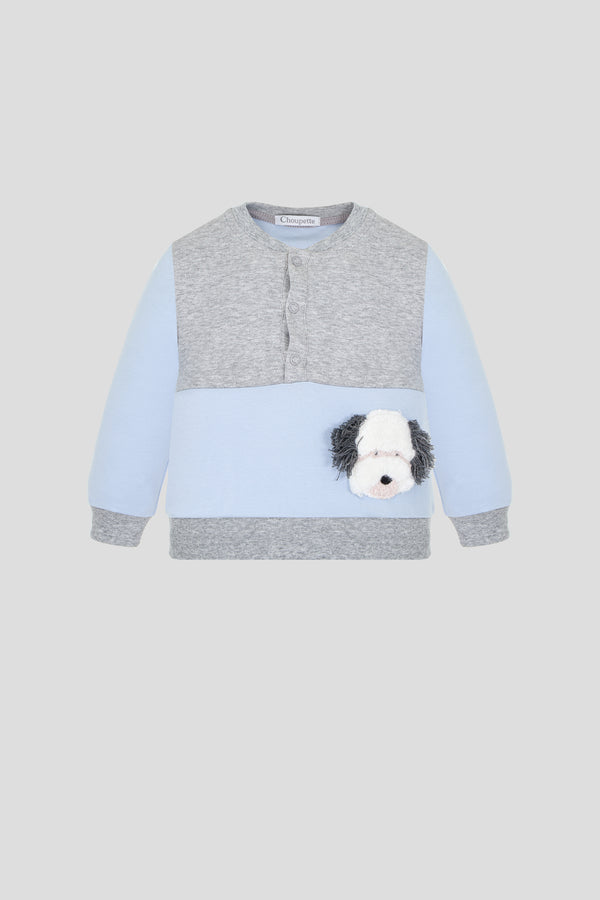 Sweatshirt and pants Set