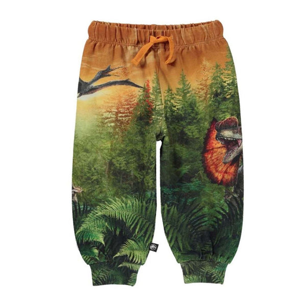 Dinosaur Print Trackpants