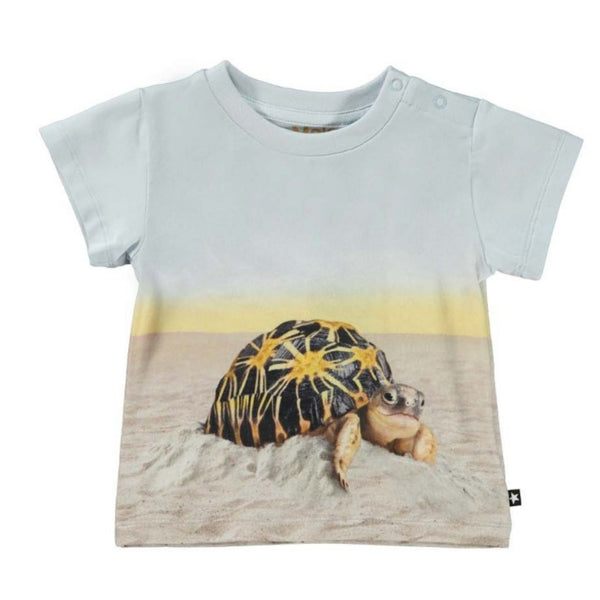 Blue & Beige Cotton Turtle T-Shirt