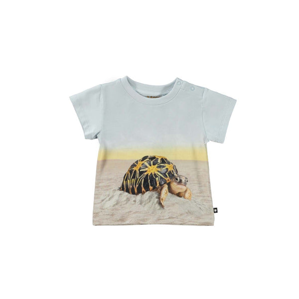 Blue & Beige Cotton Turtle T-Shirt