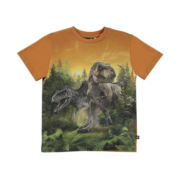 Graphic Print T-Shirt