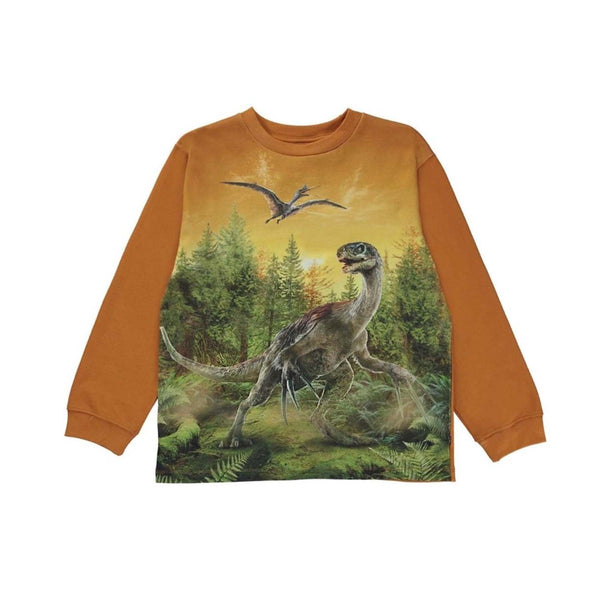 Rube Forest Dino Print Organic Cotton Sweatshirt