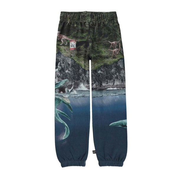 Graphic Print Tracksuit Bottoms