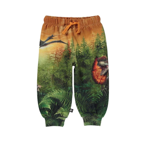 Dinosaur Print Trackpants
