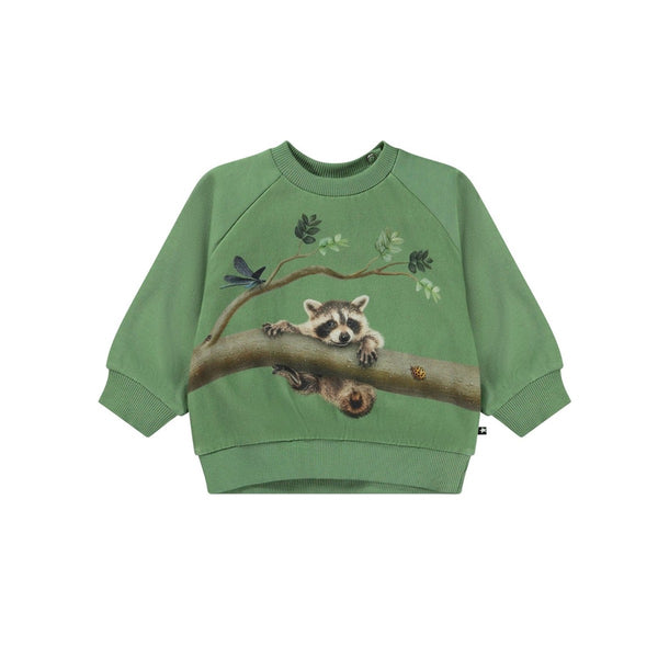Baby Kids Green Raccoon Print Sweatshirt
