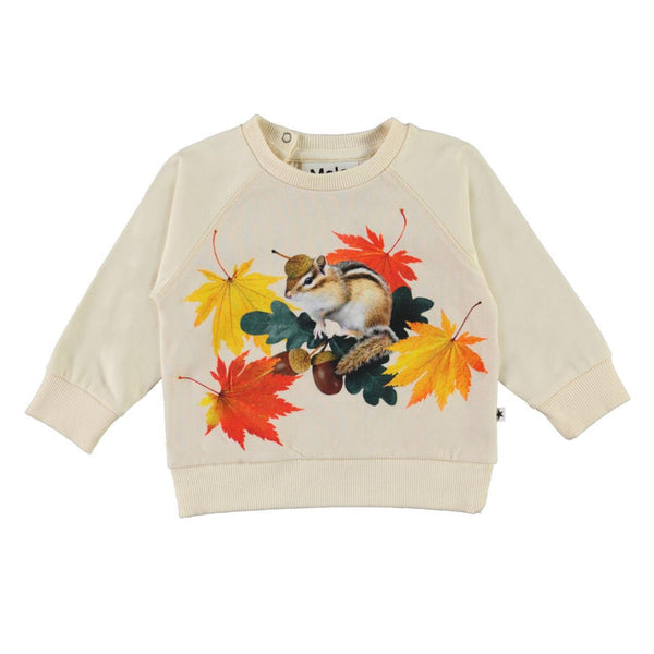 Tiny Chipmunks Elsa Sweatshirt