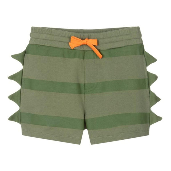 Boys Green Striped Cotton Shorts