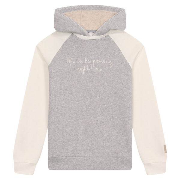 Boys Grey & White Embroidered Logo Hoodie