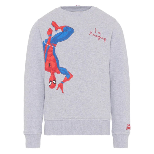 Boys Grey Graphic-Print Sweatshirts