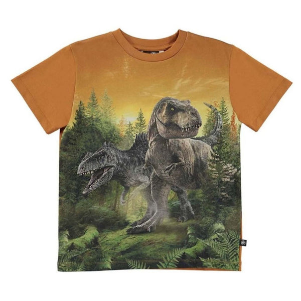 Graphic Print T-Shirt