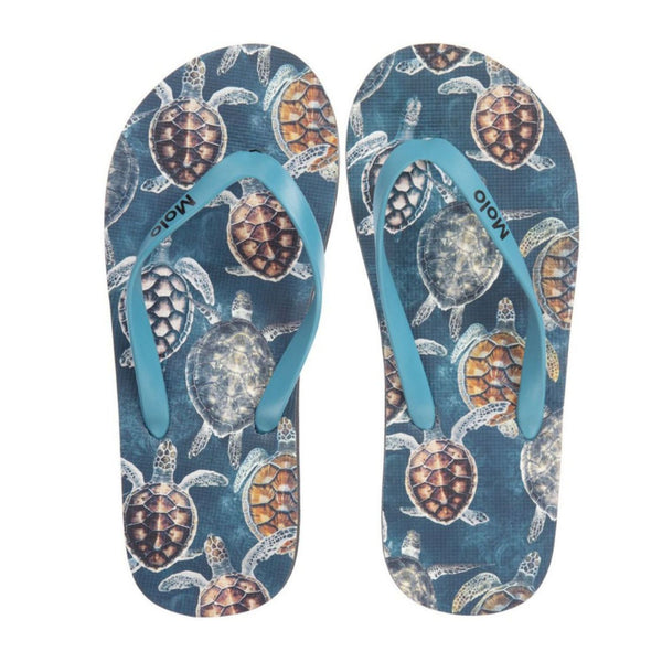 Zabi Swim Shoes Sea Turtles