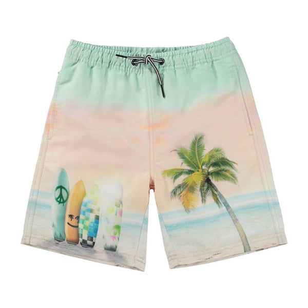 Boys Beach With Surfboards Print Swim Shorts