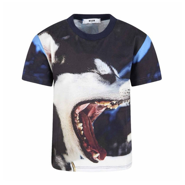 Boys Multicolor T-shirt With Wolf Print