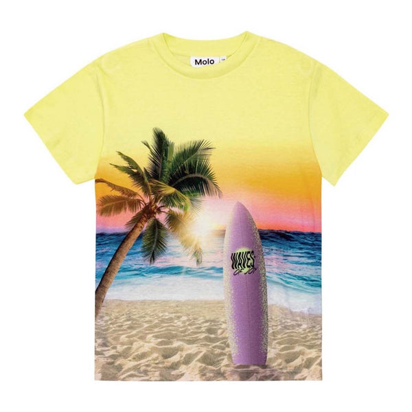 Boys Yellow Cotton Surf-Print T-Shirt