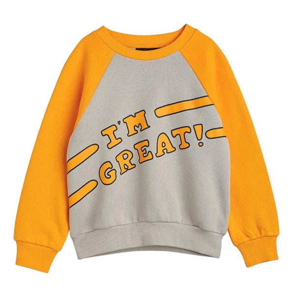 Boys Grey & Yellow Sweatshirt