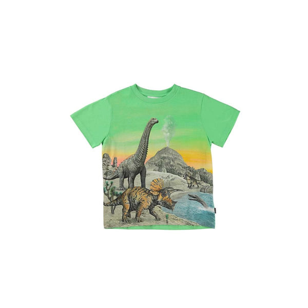 Boys Green Cotton Dinosaur T-Shirt