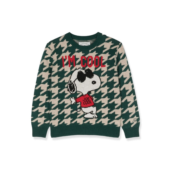 Boys Green Snoopy Rock Sweater