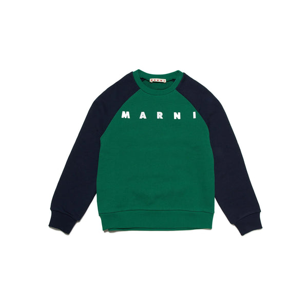 Kids Green and Blue Logo Print Sweatshirt