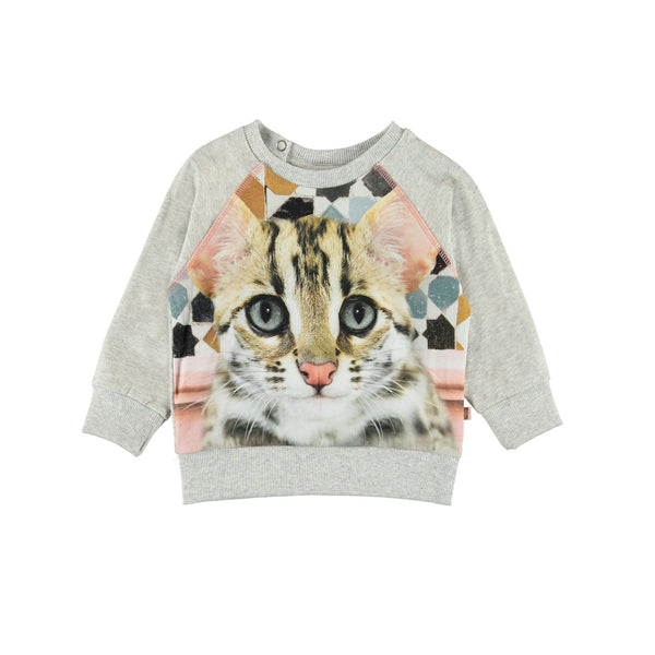 Girls Grey Cotton Sweatshirt