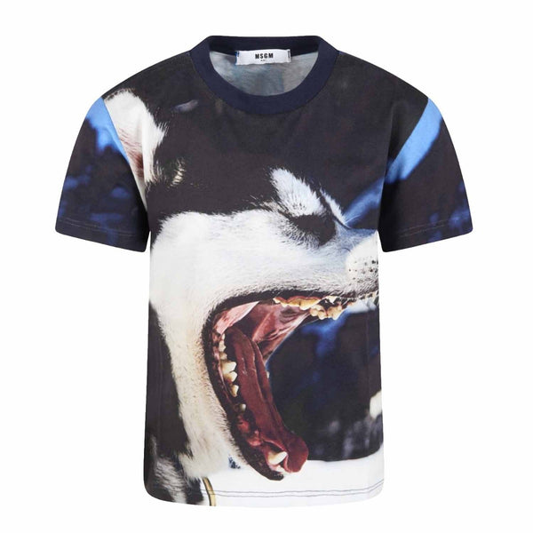 Boys Multicolor T-shirt With Wolf Print
