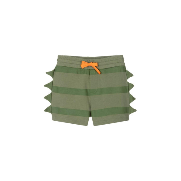 Boys Green Striped Cotton Shorts